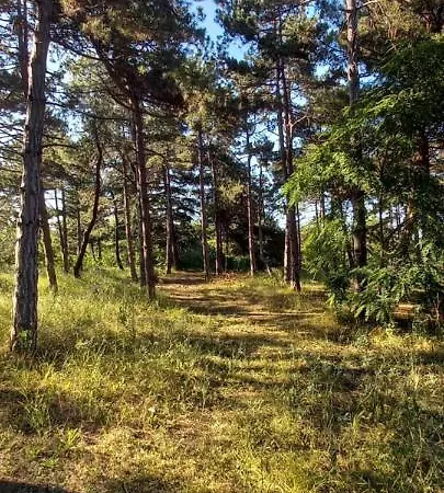 Appartement уютные 2-х комнатные Pomorie